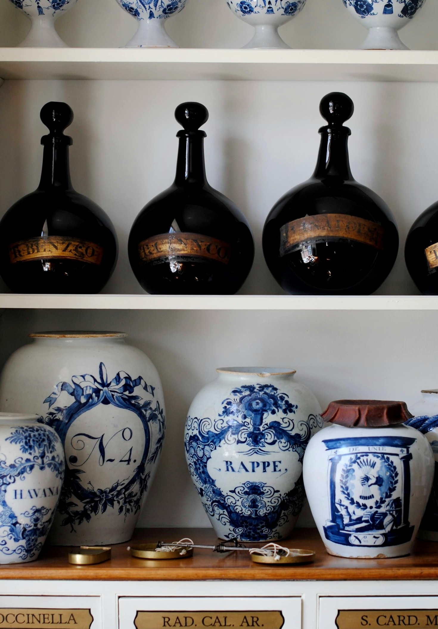 The Modern Man’s Guide to Herbal Wellness