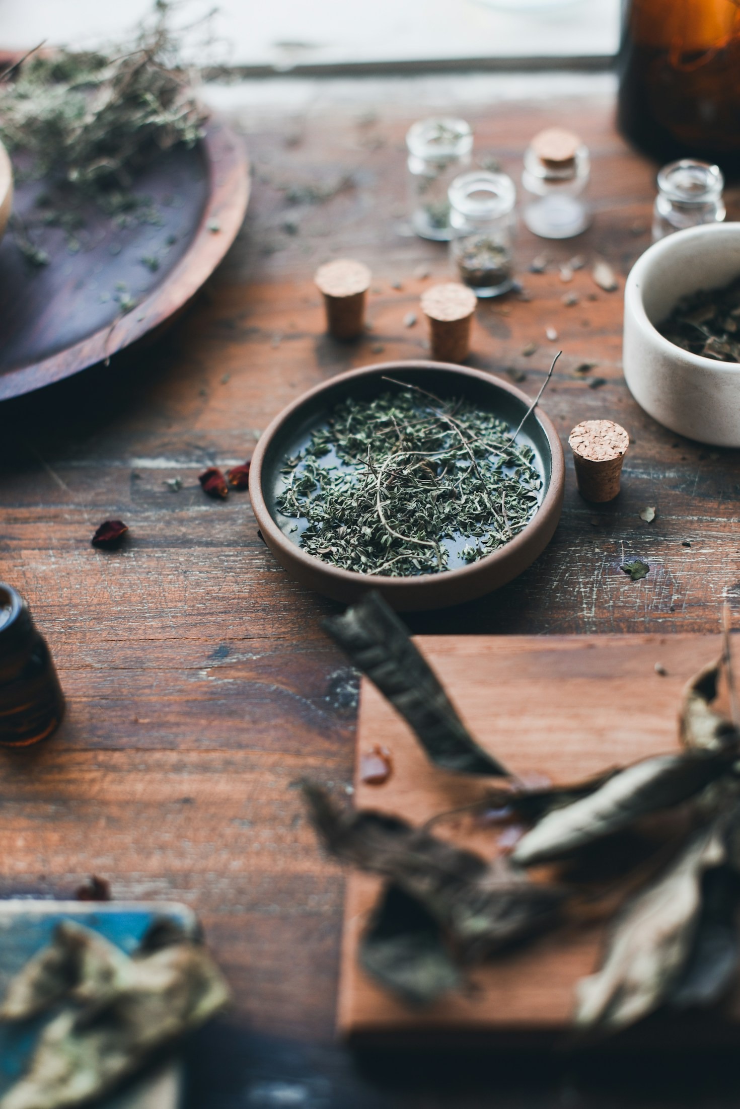 Simple Daily Habits to Elevate Your Energy