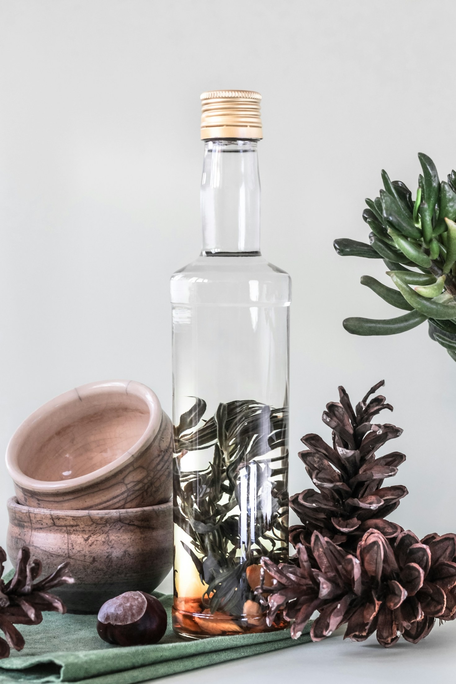 Herbal Remedies for Combating Everyday Physical Stress
